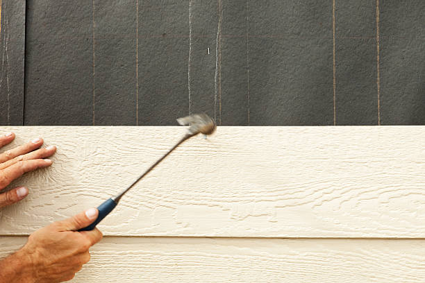 Best Siding Removal and Disposal  in Mount Vernon, IA