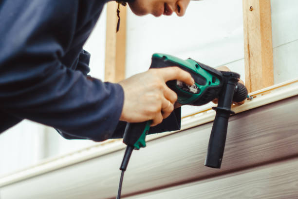 Best Custom Siding Design  in Mount Vernon, IA